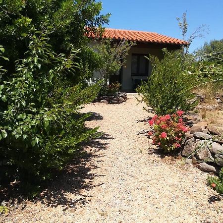 Agriturismo Su Birde Orosei Luaran gambar