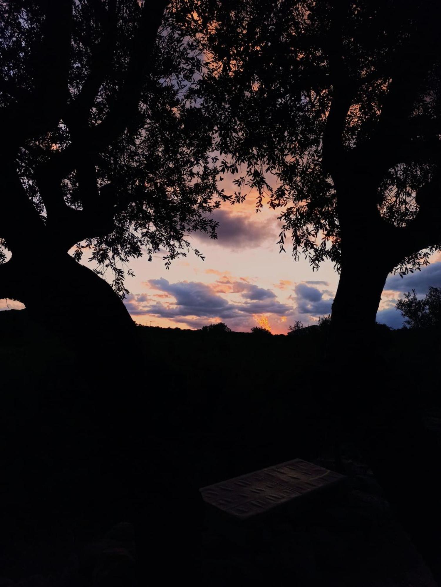 Agriturismo Su Birde Orosei Luaran gambar